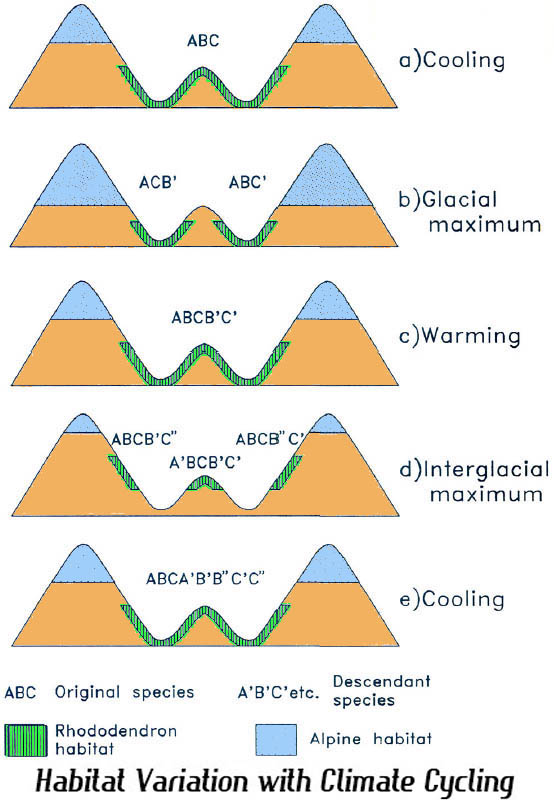 Habitat Variation with Climate Cycling