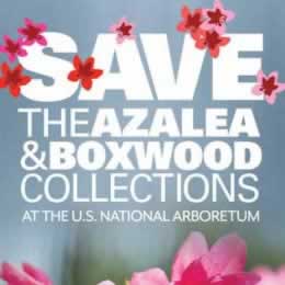 SaveTheAzaleas