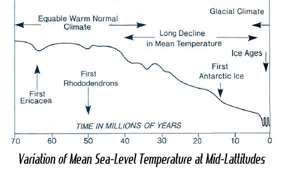 Variation in Sea-Level Temperature