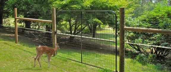deer fence