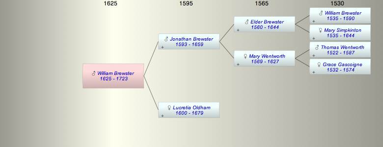 William Brewster